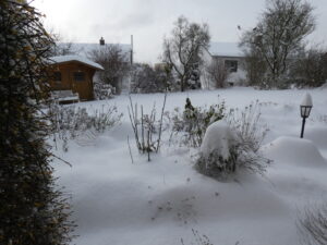 Vellmar-West, Hamburger Str. 25, Gartenseite, 8. Februar 2021