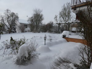 Vellmar-West, Hamburger Str. 25, Gartenseite, 8. Februar 2021